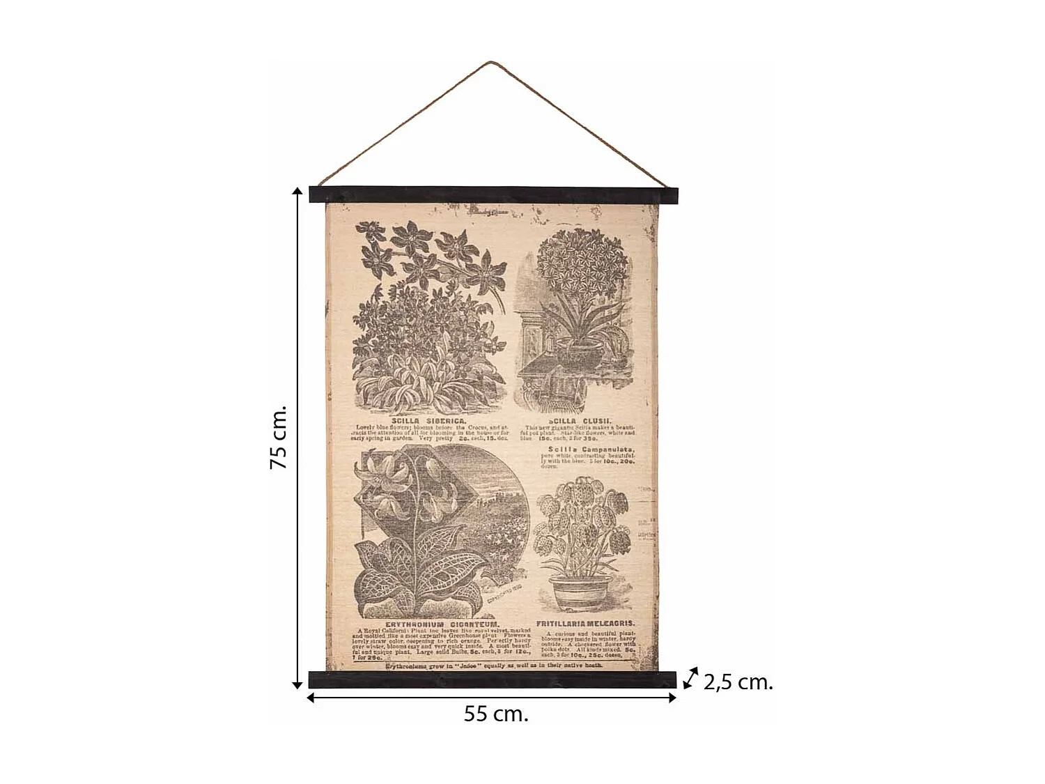 Lienzo pergamino de tela impresa 55x75x2,5