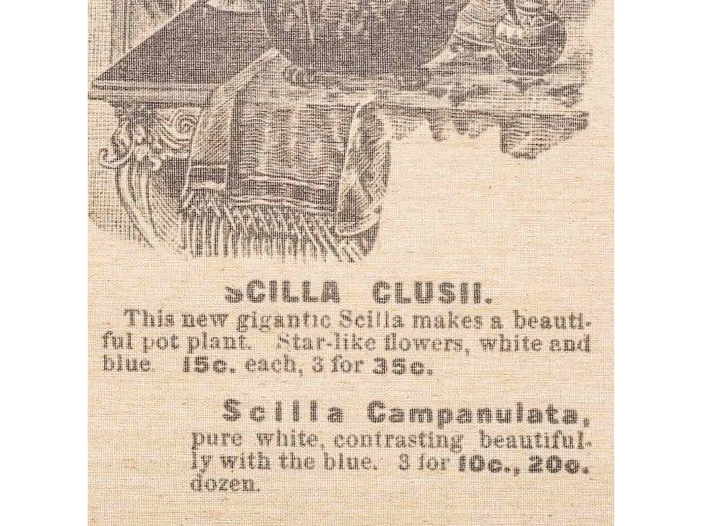 Tela in tessuto pergamena stampata 55x75x2,5h