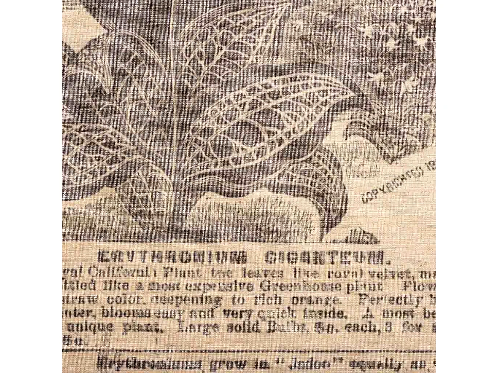 Tela in tessuto pergamena stampata 55x75x2,5h