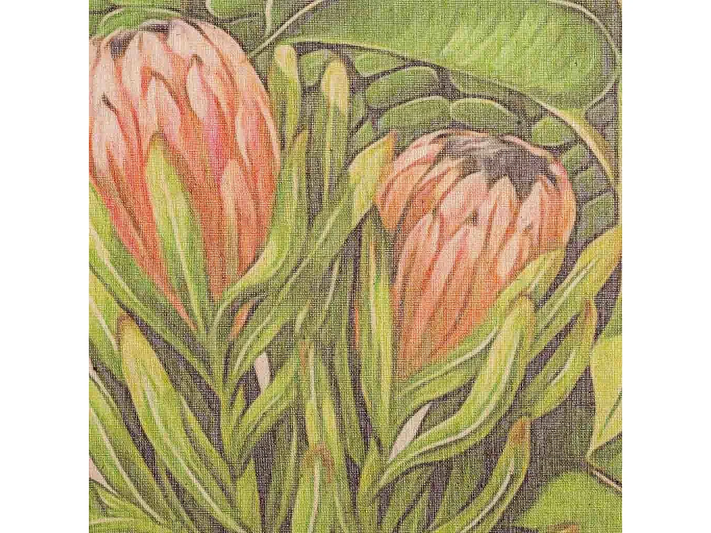 Lienzo pergamino de tela impresa 55x75x2,5