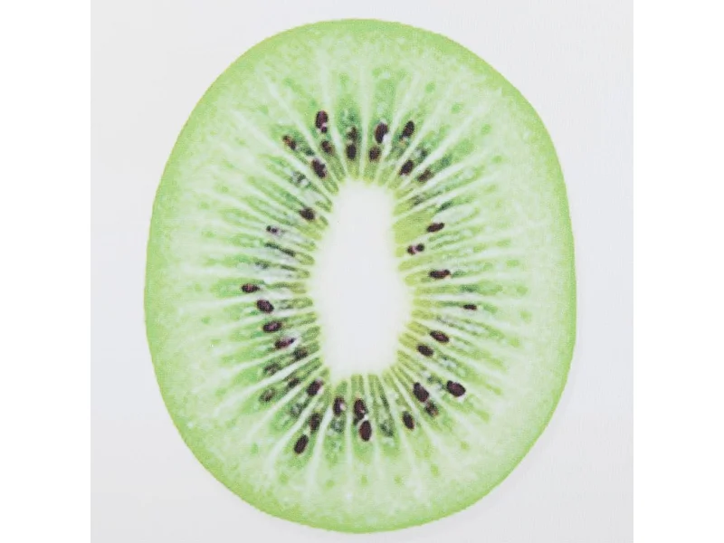 Pintura em tela impressa com moldura 30x40x2,5,