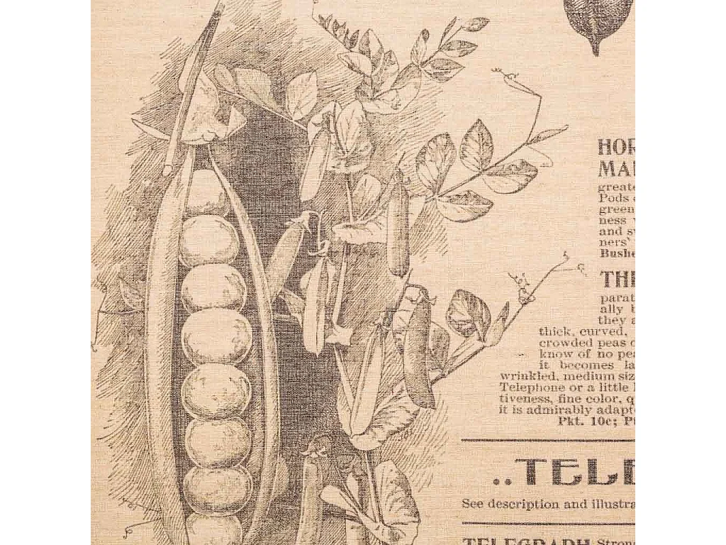 Tela pergaminho em tecido estampado 55x75x2,5