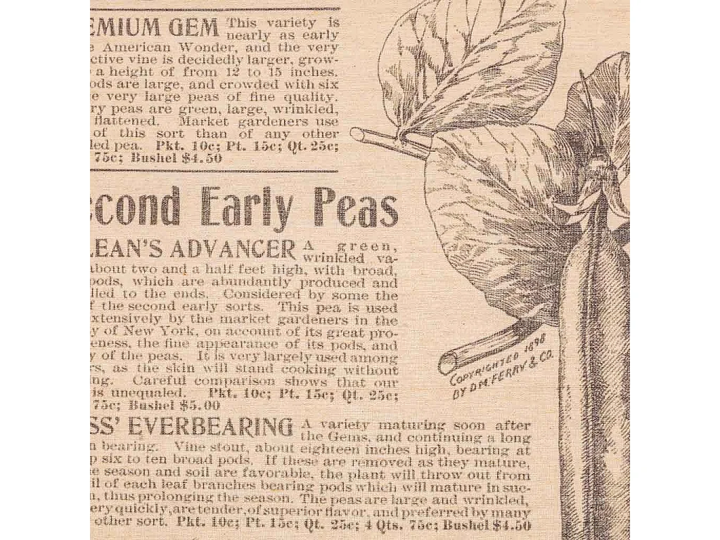 Lienzo pergamino de tela impresa 55x75x2,5