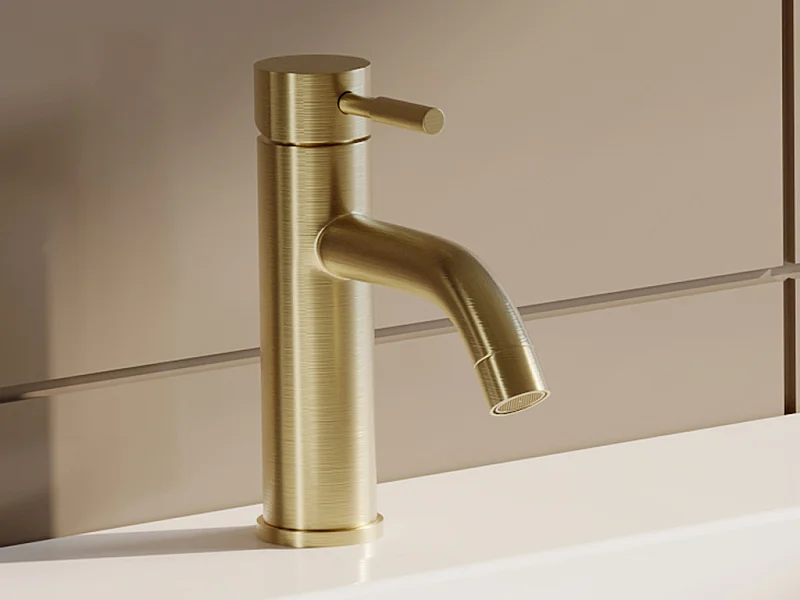 Robinet mitigeur mécanique arrondi en inox brossé - Doré - H17,3 cm - SALAVAN