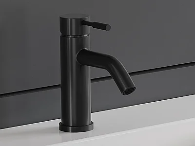 Mechanische mengkraan met ronde vorm van geborsteld roestvrij staal - Mat zwart - H17 cm - SALAVAN