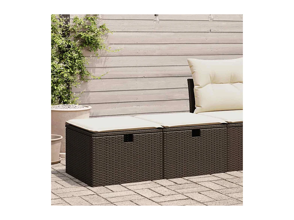 Salon de jardin avec coussins 2pcs marron résine tressée acacia