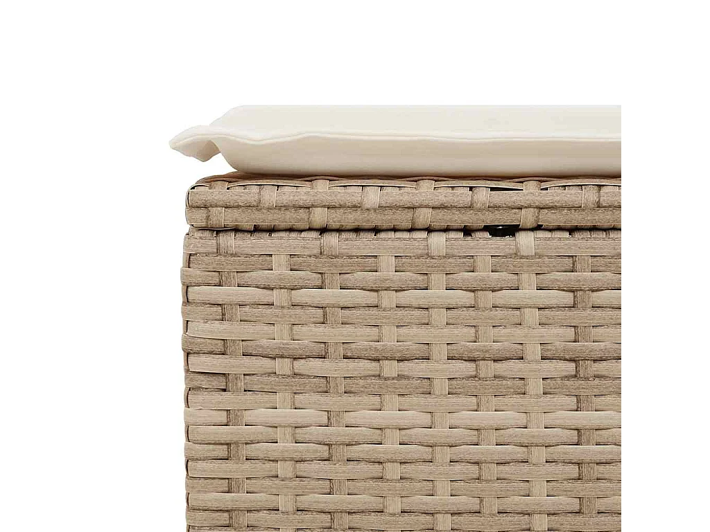 Salon de jardin avec coussins 2 pcs beige résine tressée acacia