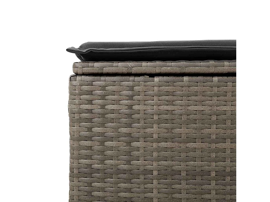 Salon de jardin 9 pcs avec coussins gris résine tressée