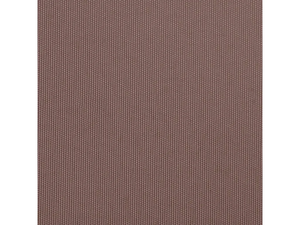 Auvent manuel rétractable marron 300x250 cm
