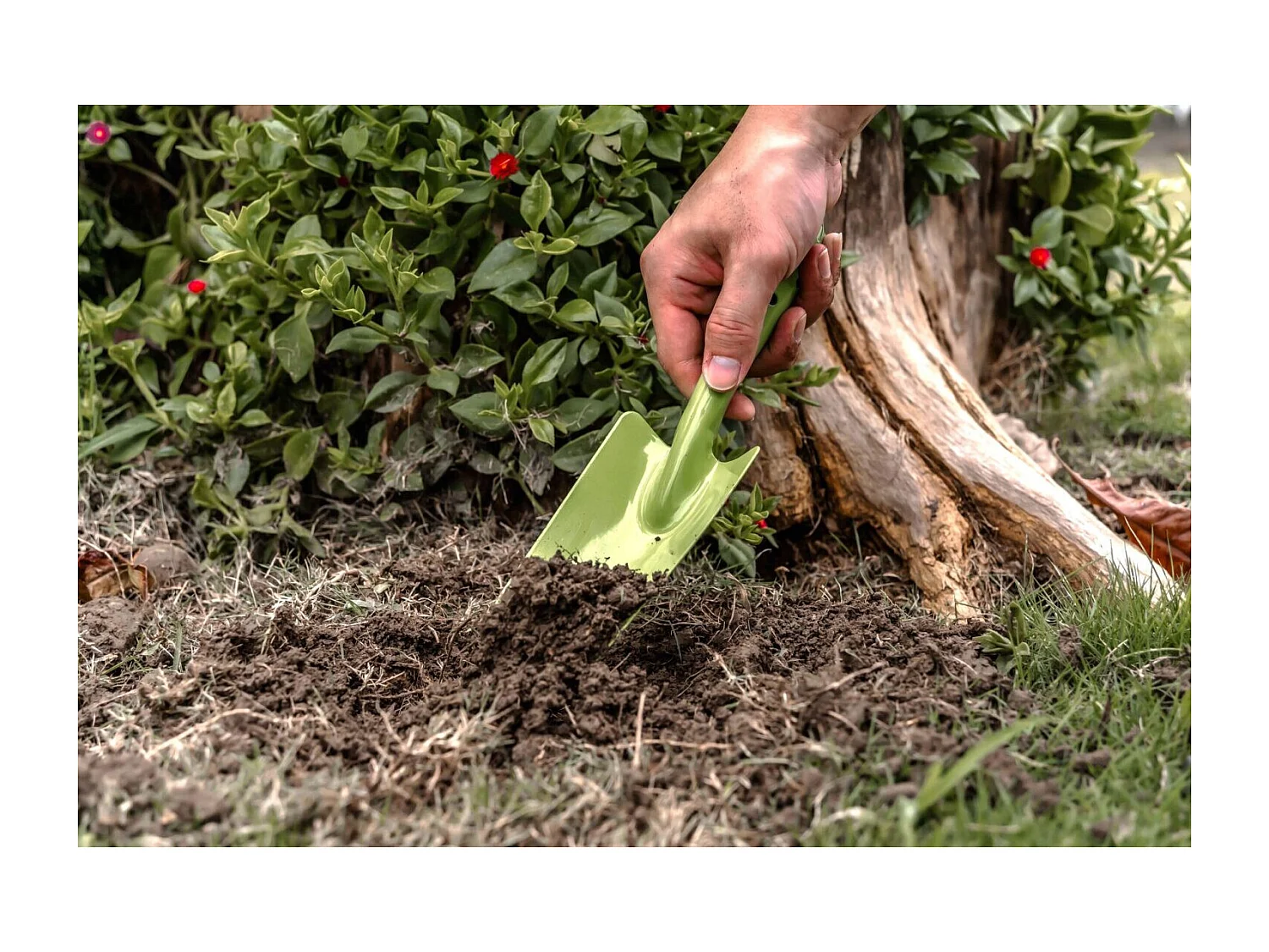 Lot de 2 outils de jardin - Suan - Transplantoir et pic - En acier