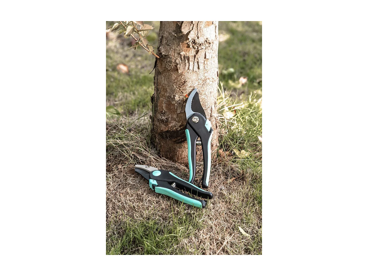 Juego de 2 tijeras de podar - Suan - Hoja recta y hoja de yunque - Acero