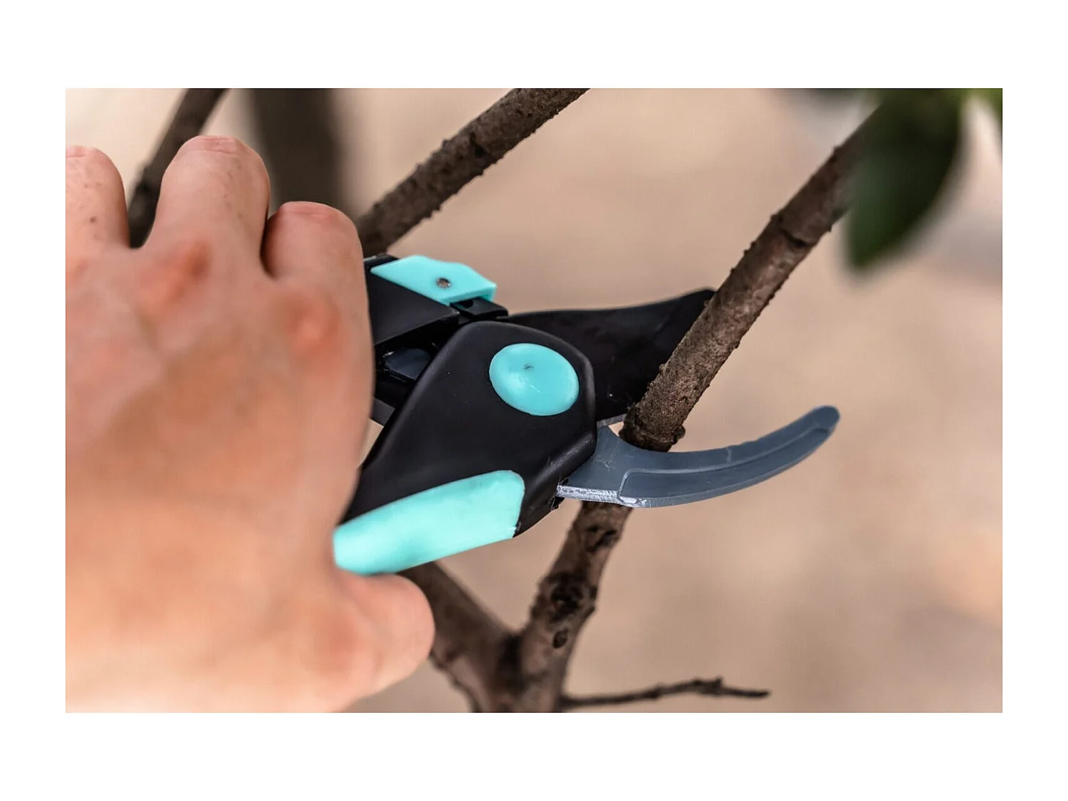 Juego de 2 tijeras de podar - Suan - Hoja recta y hoja de yunque - Acero