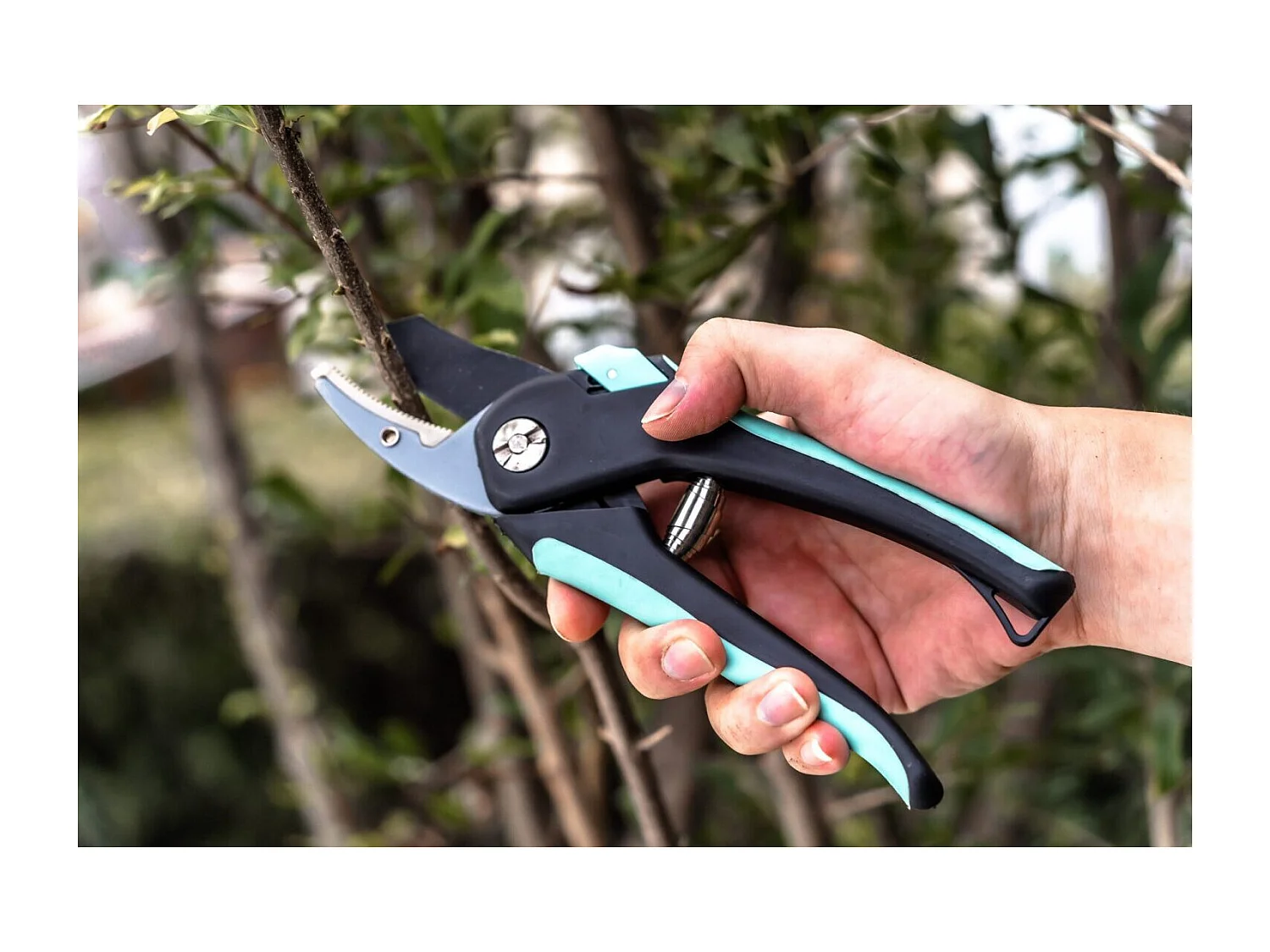 Lot de 2 sécateurs - Suan - Lame franche et lame enclume - En acier