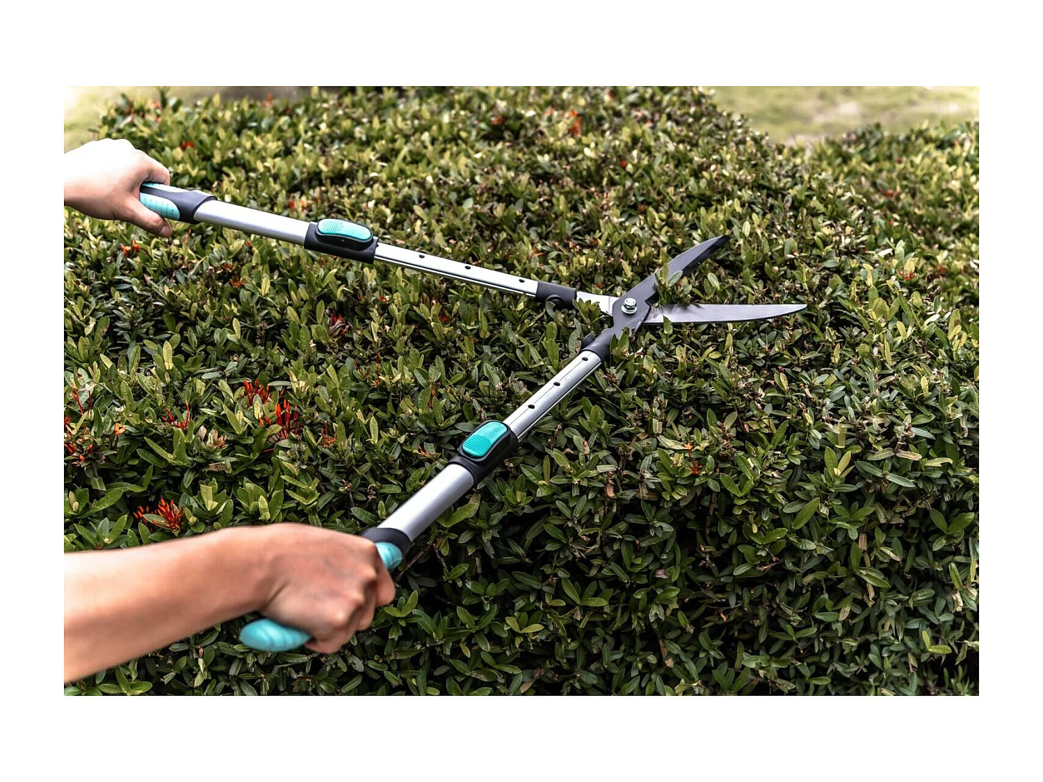 Rechte heggenschaar - Suan - Telescopische handgreep - Afmetingen : 62-80 x 19-25 x 3 cm