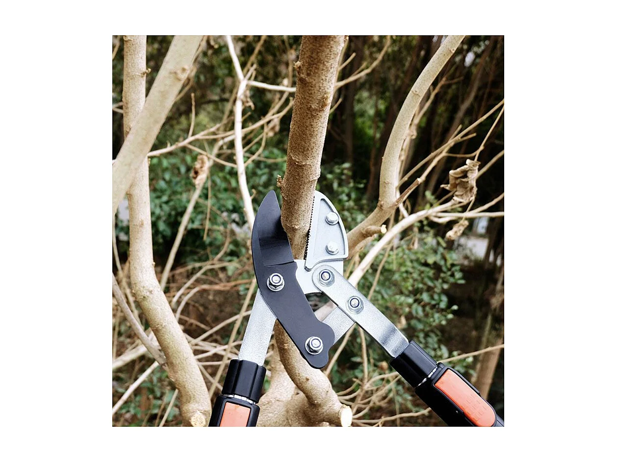 Corta ramas con cuchilla de yunque - Suan - Mango telescópico - Dimensiones: 87 x 34 cm