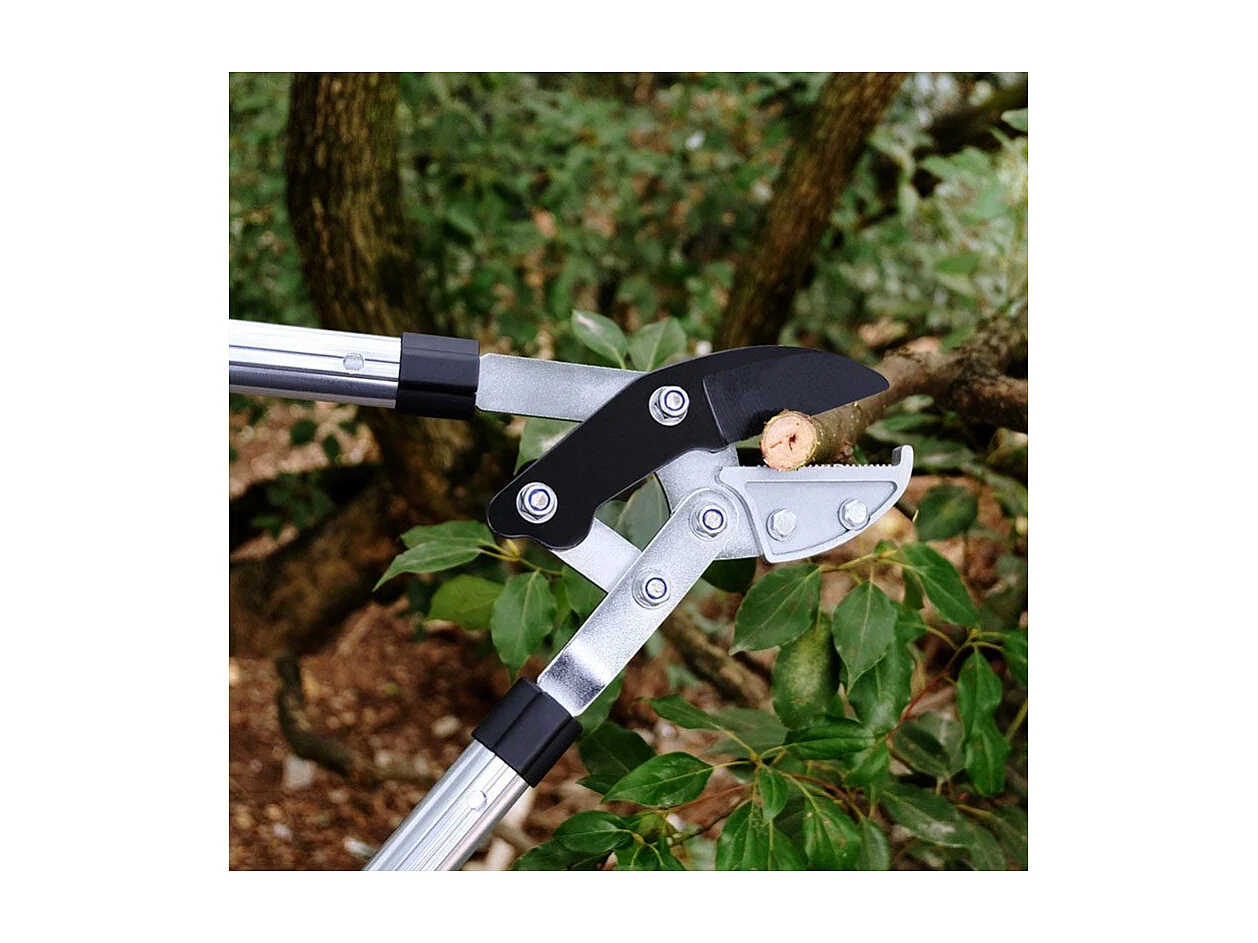 Corta ramas con cuchilla de yunque - Suan - Mango telescópico - Dimensiones: 87 x 34 cm