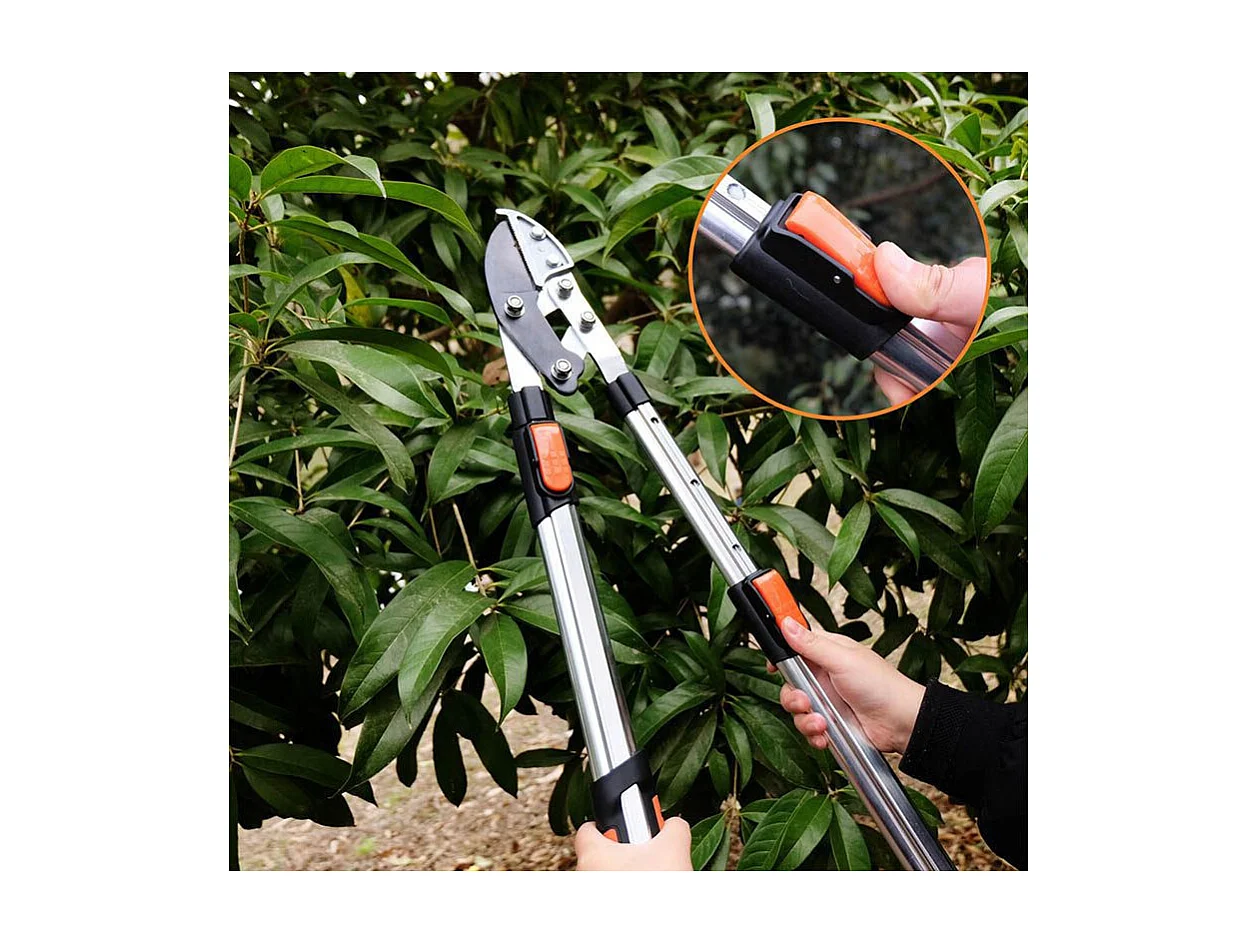 Corta ramas con cuchilla de yunque - Suan - Mango telescópico - Dimensiones: 87 x 34 cm