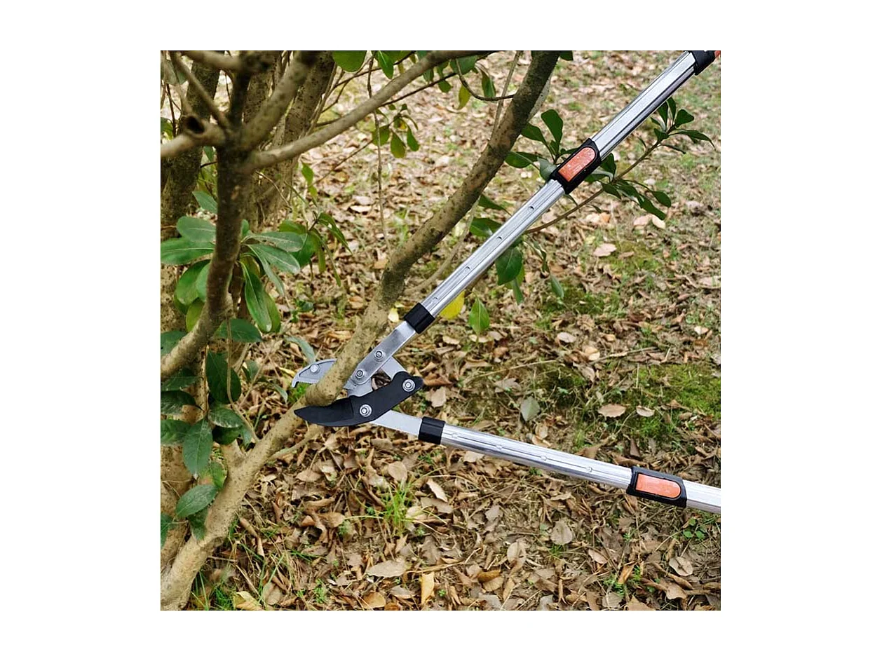 Corta ramas con cuchilla de yunque - Suan - Mango telescópico - Dimensiones: 87 x 34 cm