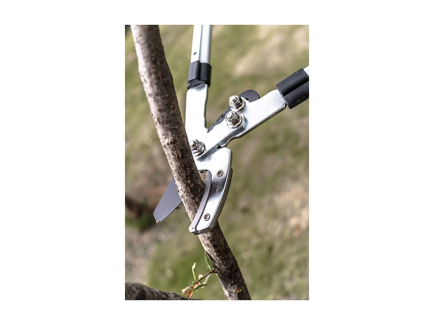 Coupe branche lame enclume - Suan - Manche télescopique - Dimensions : 88,5 x 30,5 x 3 cm