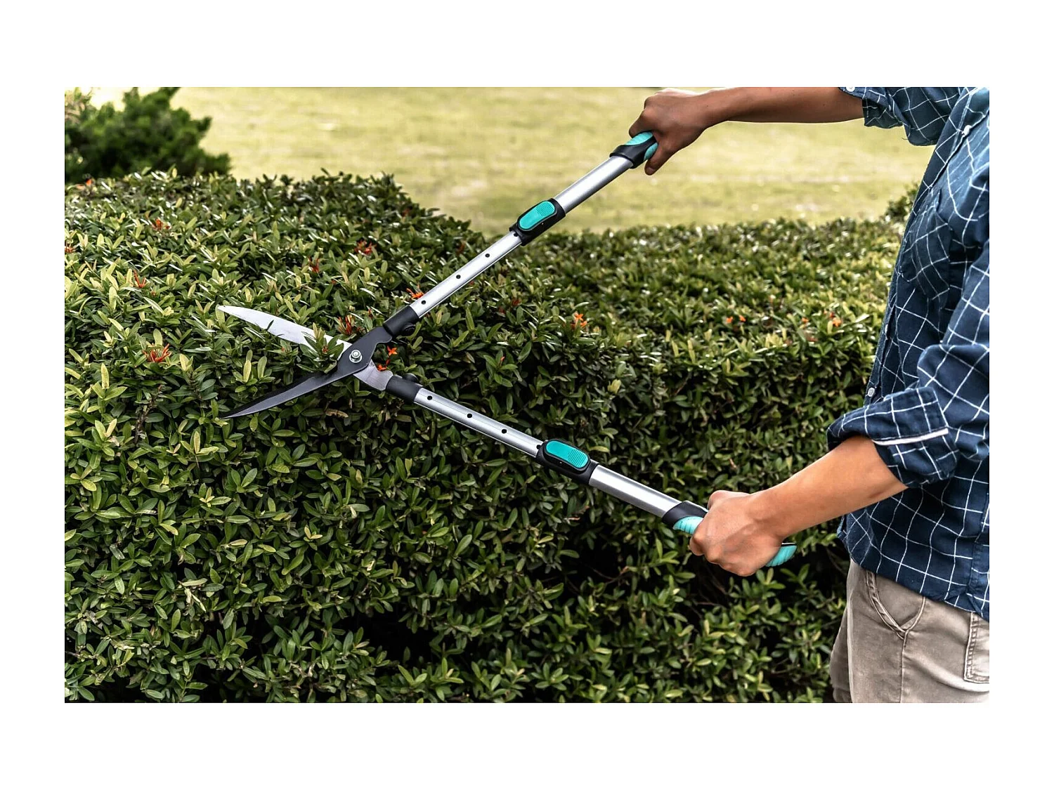 Cisaille à haie lame ondulée - Suan - Manche télescopique - Dimensions : 62-80 x 19-25 x 3 cm