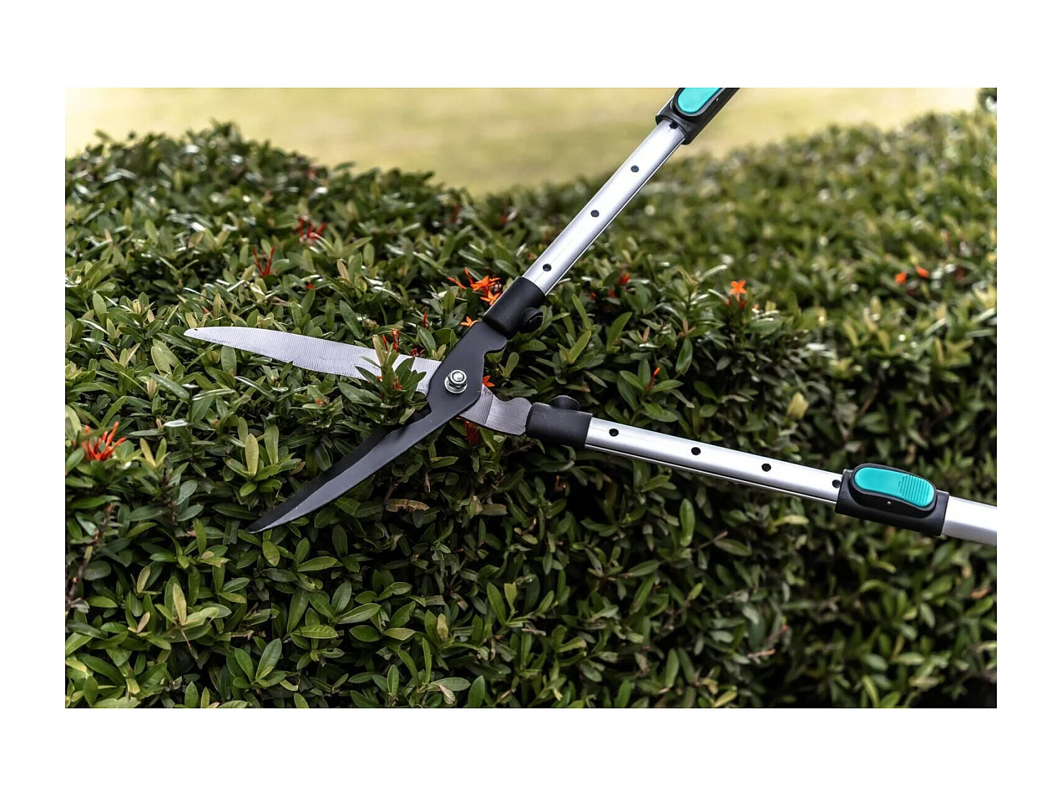 Cisaille à haie lame ondulée - Suan - Manche télescopique - Dimensions : 62-80 x 19-25 x 3 cm