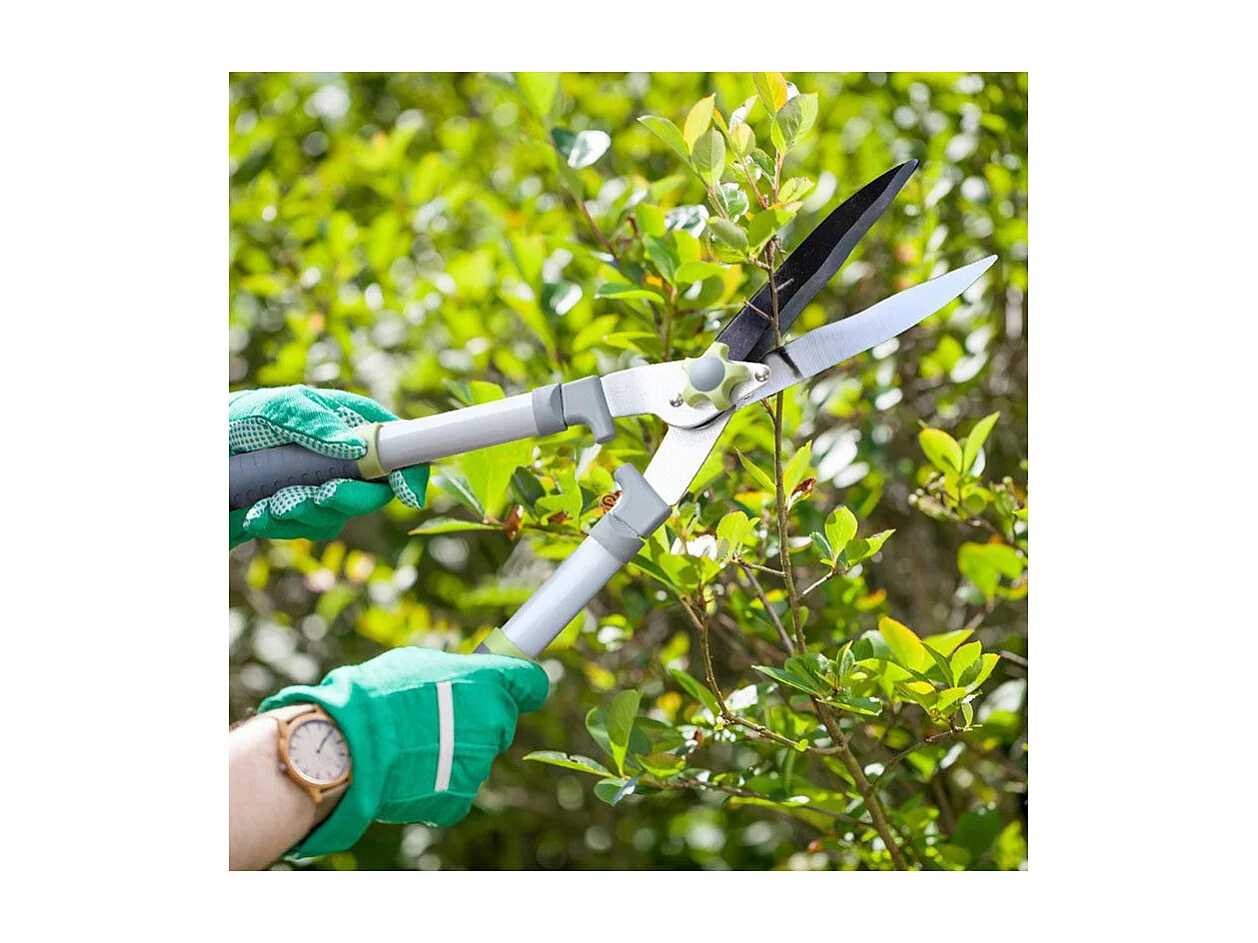 Heggenschaar met gegolfde messen - Suan - Antisliplaag - Afmetingen : 58 x 23 cm