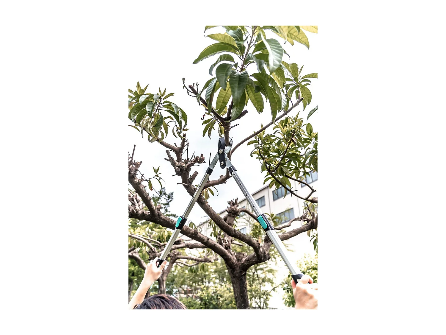 Takkenschaar met recht blad - Suan - Telescopische handgreep - Afmetingen: 88,5 x 29,5 x 3 cm