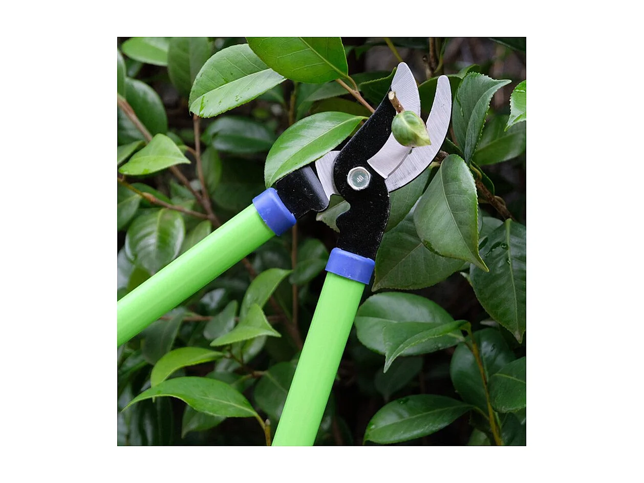 Coupe branche lame franche - Suan - En acier carbone - Dimensions : 62 x 21,5 cm