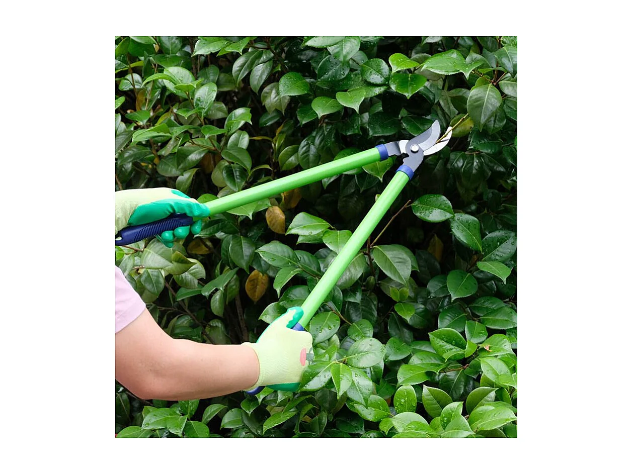 Coupe branche lame franche - Suan - En acier carbone - Dimensions : 62 x 21,5 cm