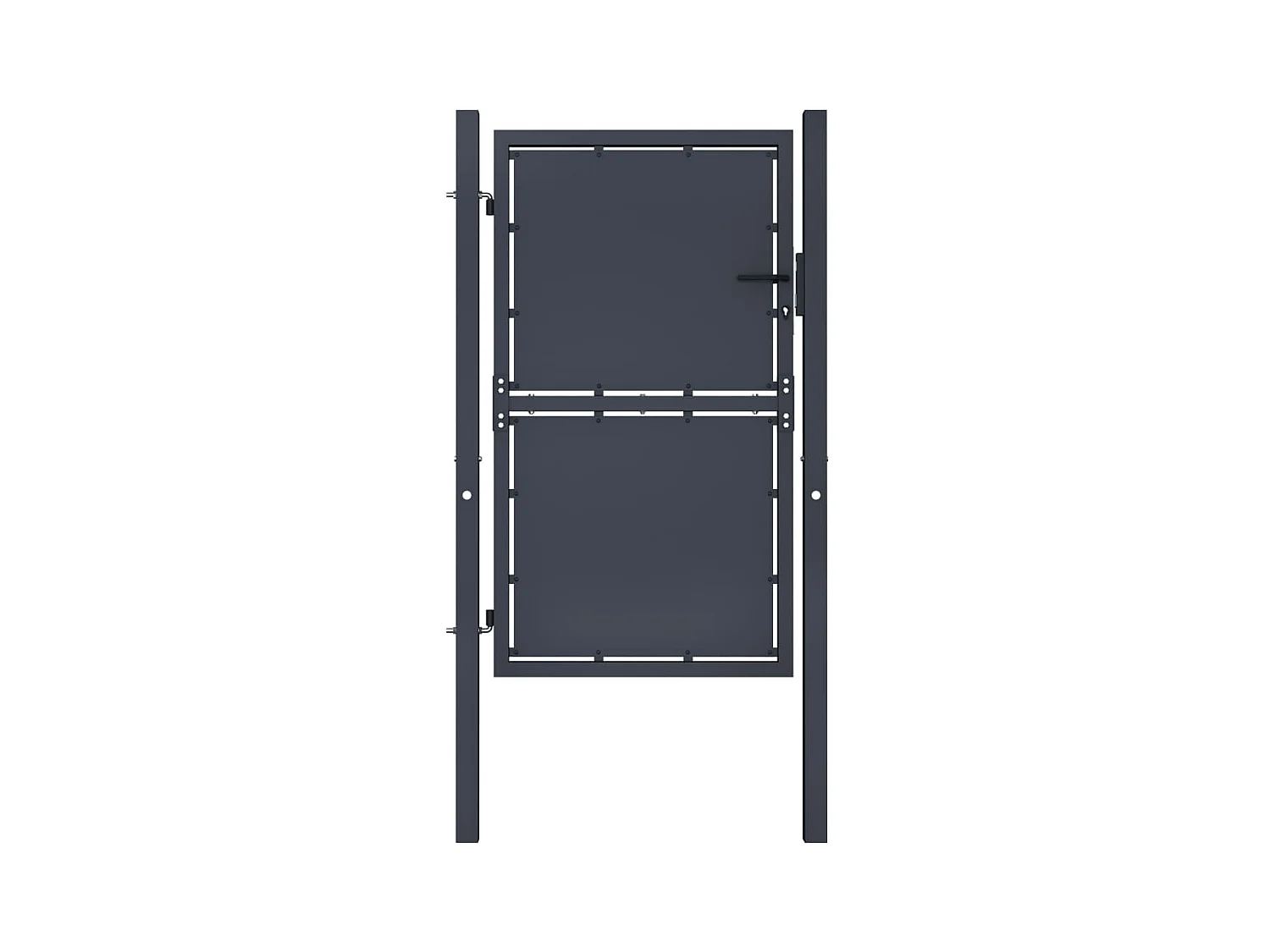 Portail de jardin Acier 100x150 cm Anthracite