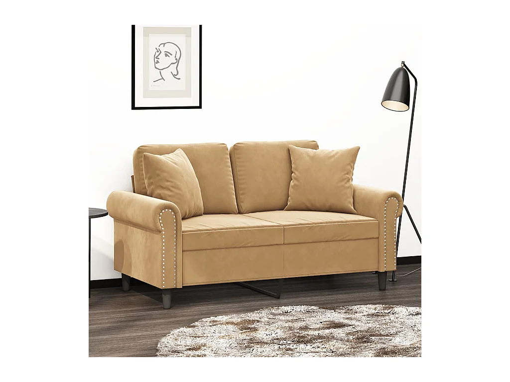 Canapé 2 places avec oreillers décoratifs brun 120 cm velours