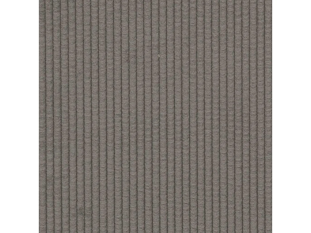 Canapé-chaise accoudoirs gris clair 54 cm tissu velours c?telé