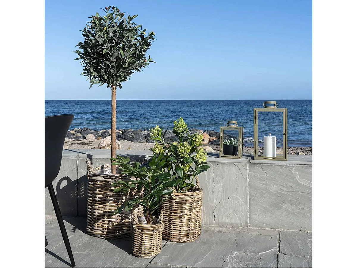 SIMMIA - Skimmia Japonica décoratif artificiel hauteur 75cm