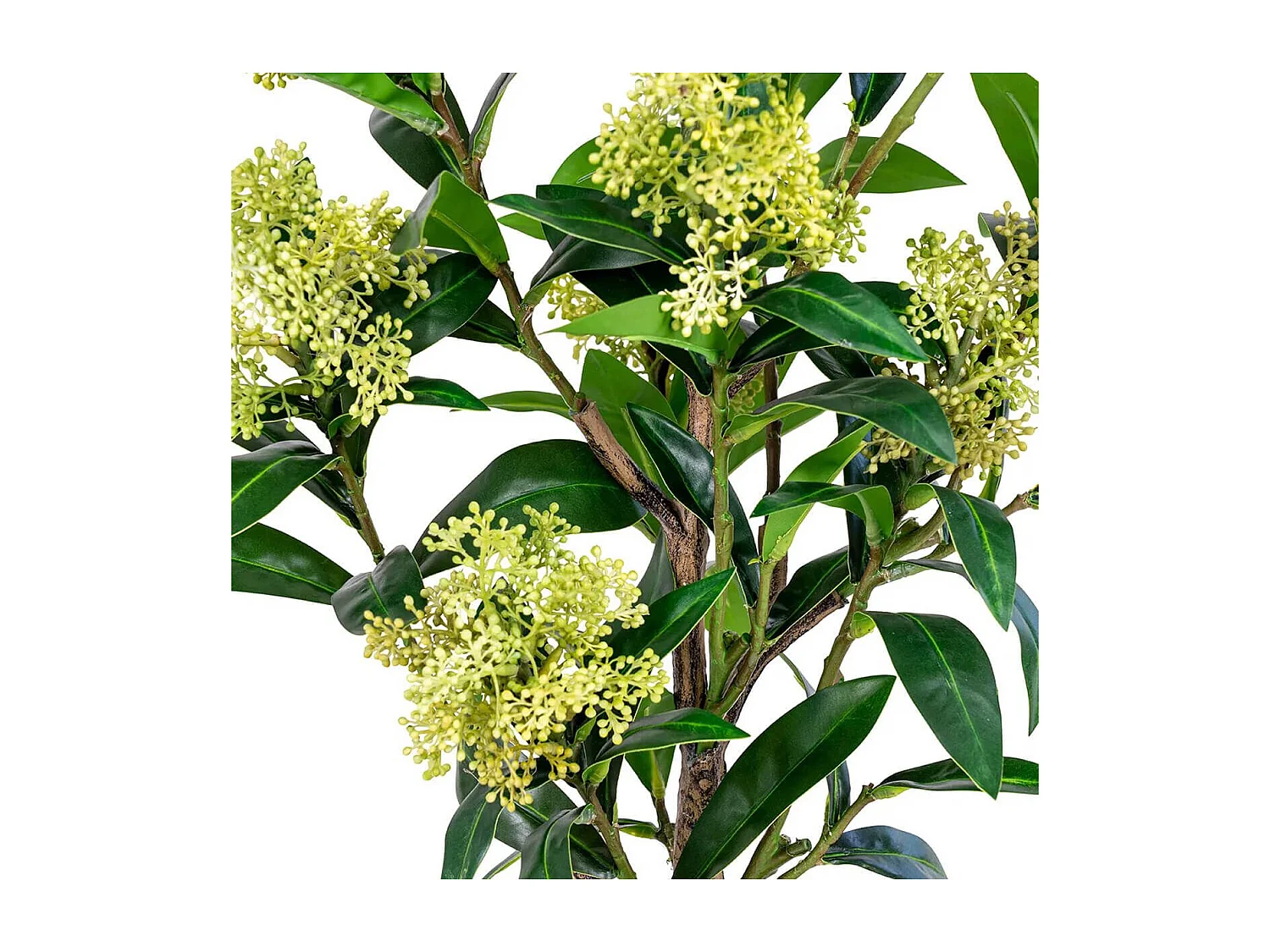 SIMMIA - Skimmia Japonica décoratif artificiel hauteur 75cm