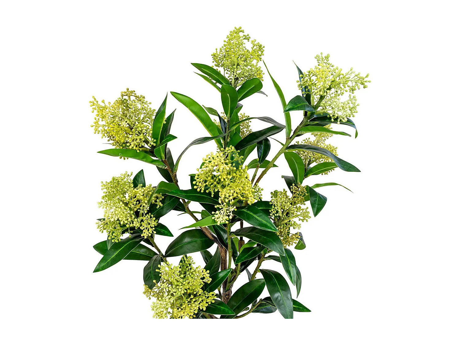 SIMMIA - Skimmia Japonica décoratif artificiel hauteur 75cm
