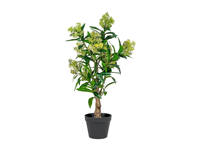 SIMMIA - Skimmia Japonica décoratif artificiel hauteur 75cm