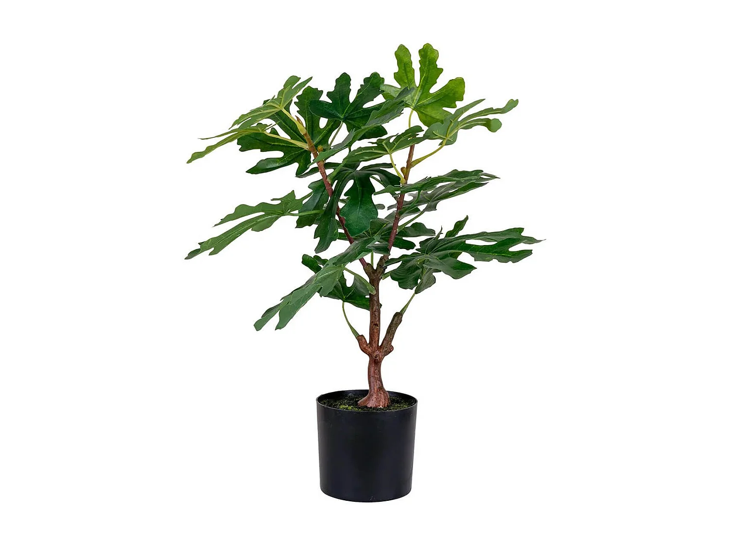 FIGUERIA - Figuier décoratif artificiel hauteur 60cm