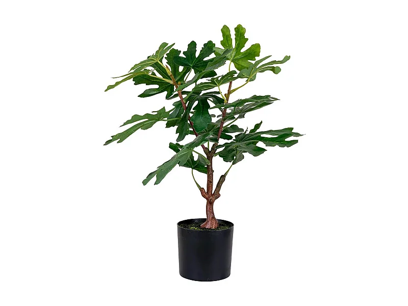 FIGUERIA - Figuier décoratif artificiel hauteur 60cm
