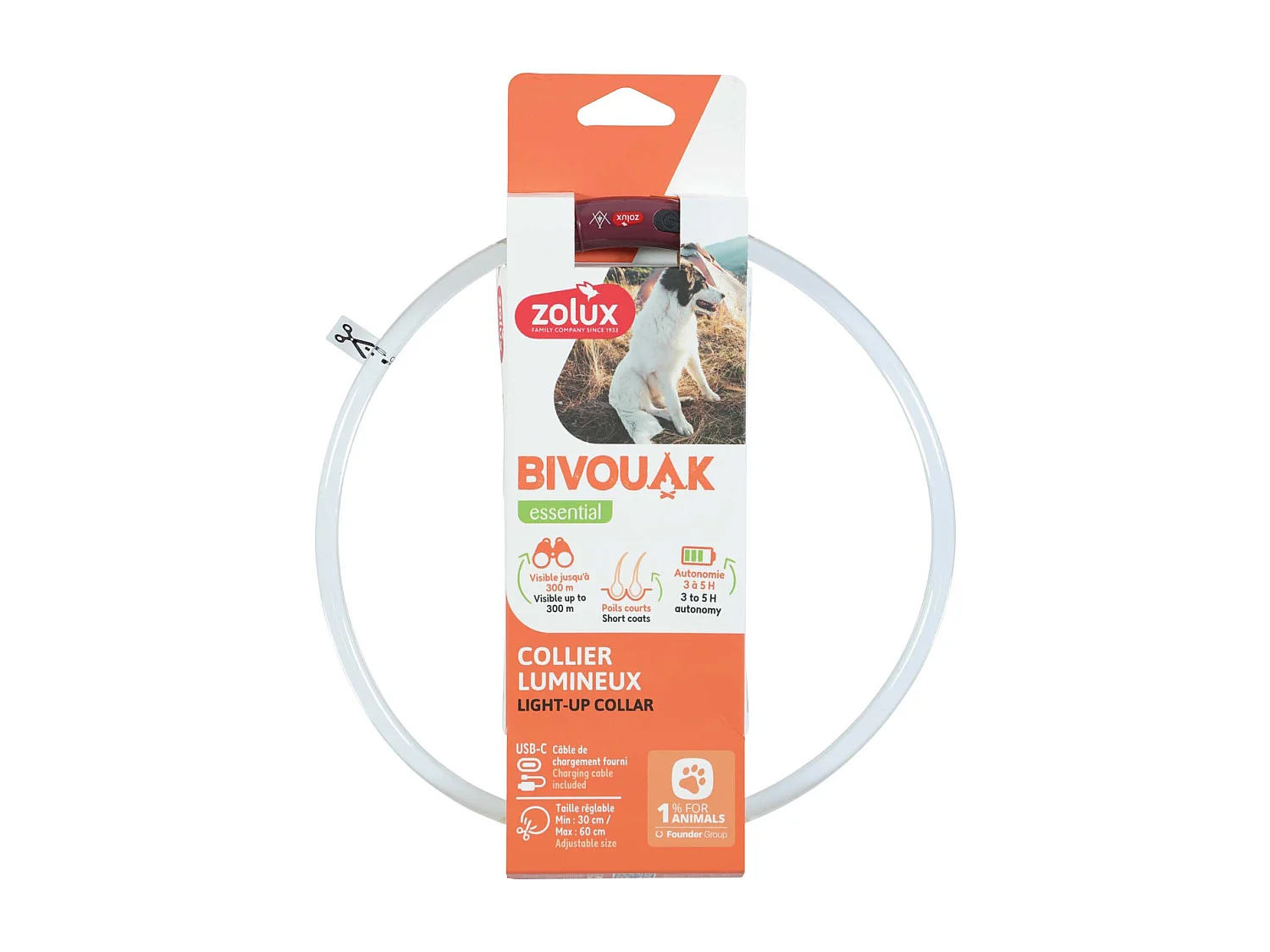 Collier lumineux pour chiens poils courts Bivouak