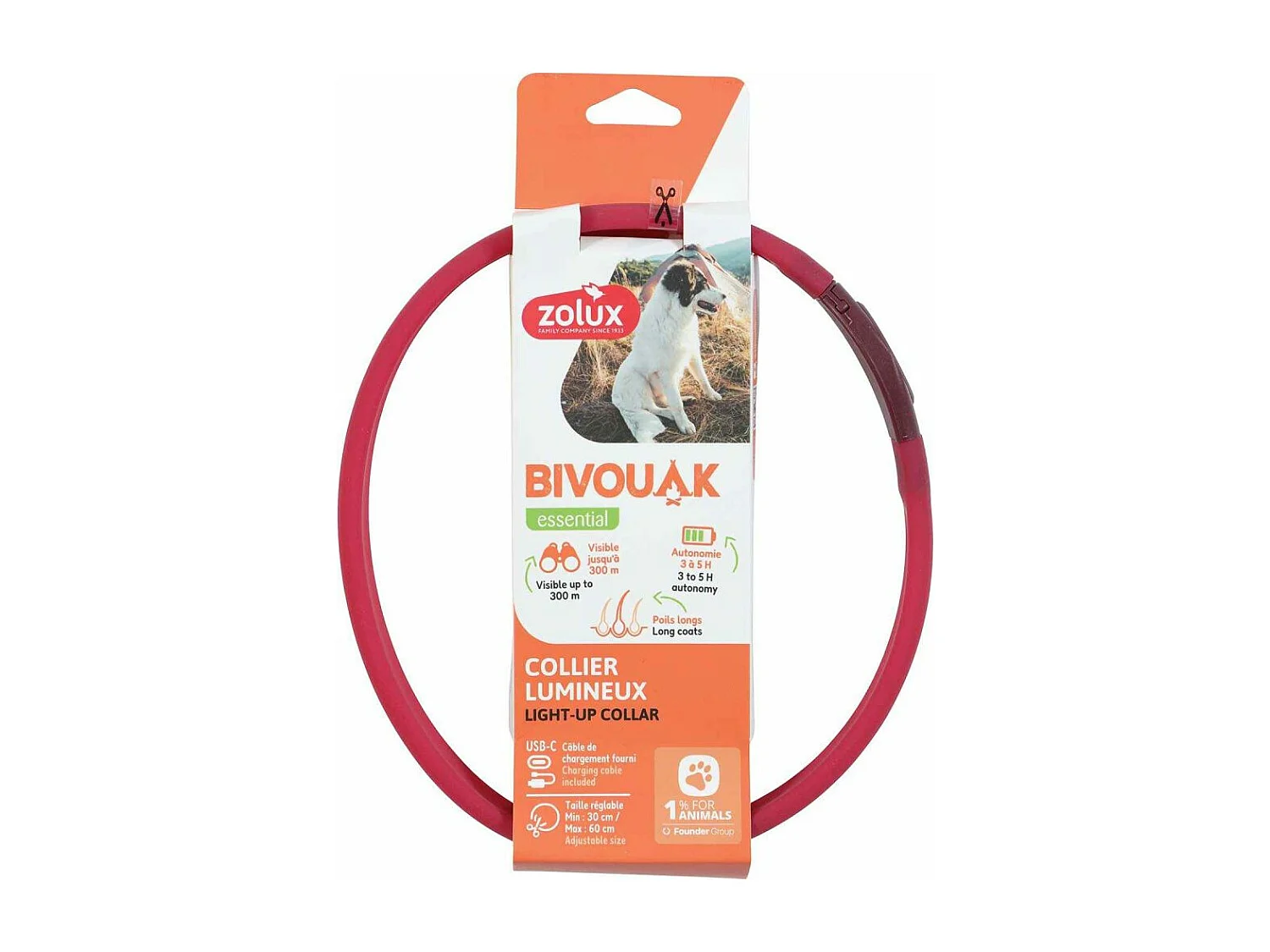Collier lumineux pour chiens poils longs Bivouak