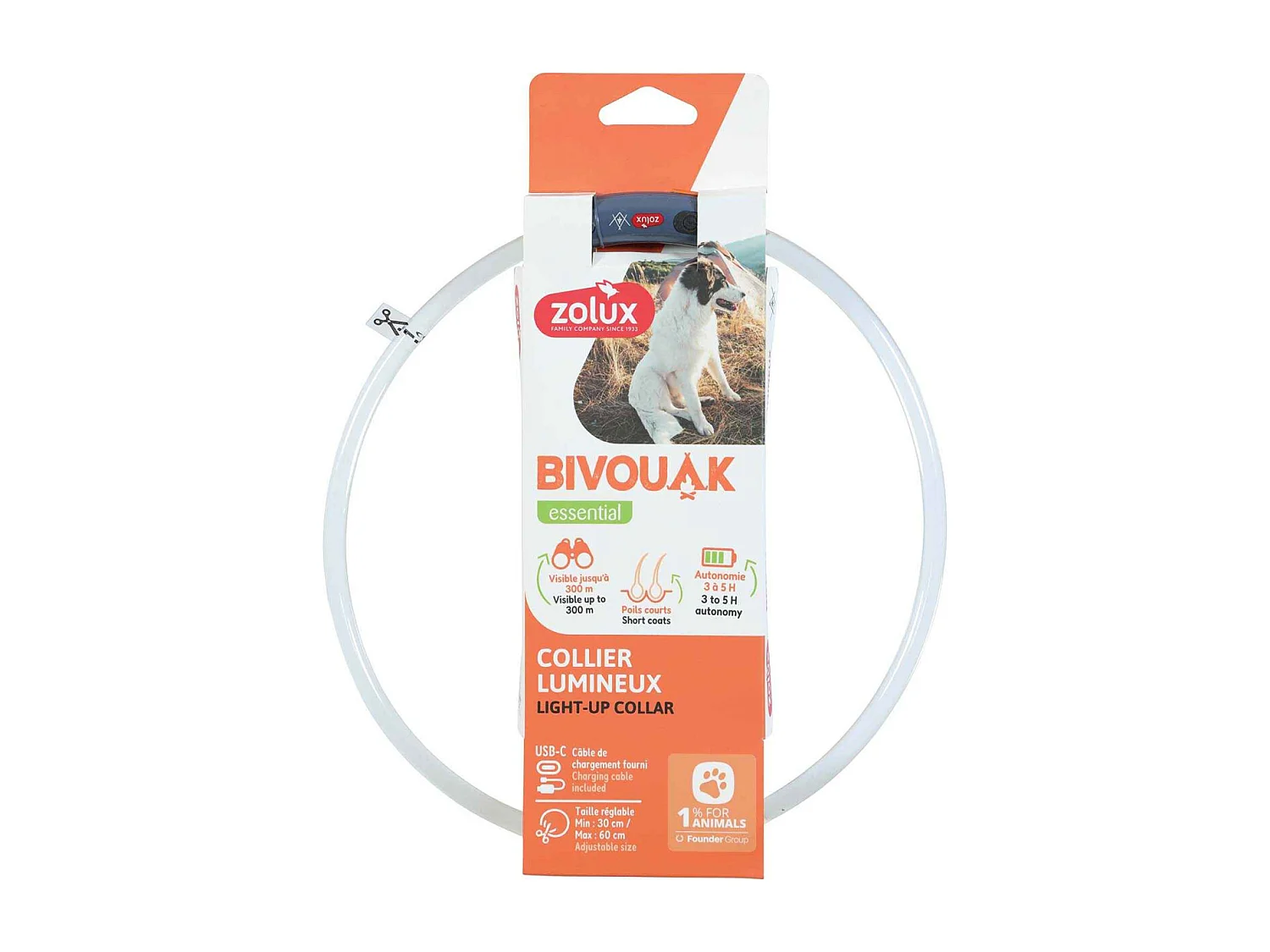 Collier lumineux pour chiens poils courts Bivouak