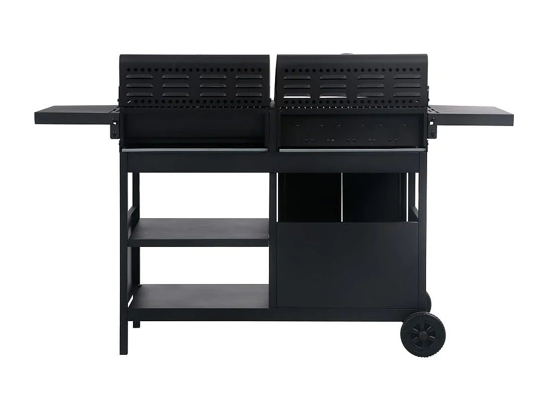 Barbecue gril combo à gaz et au charbon avec 3 br?leurs