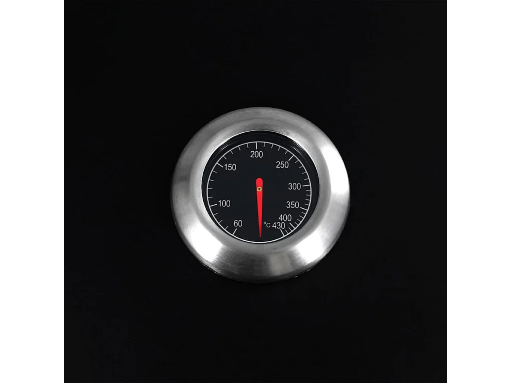 Barbecue gril combo à gaz et au charbon avec 3 br?leurs