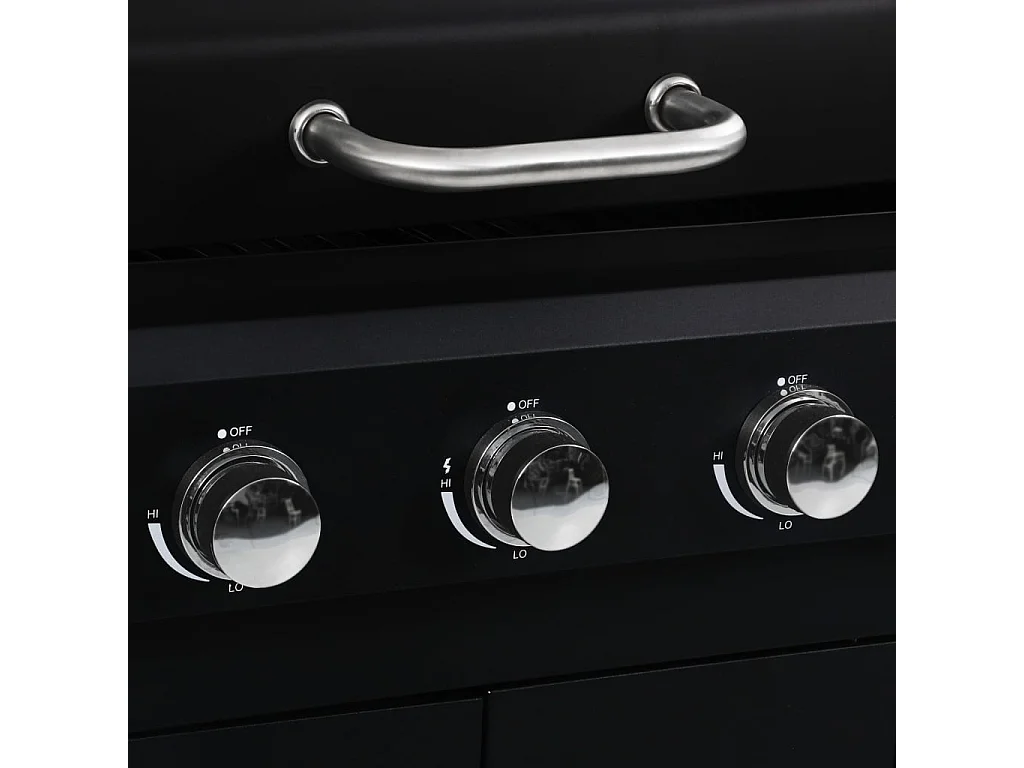 Barbecue gril combo à gaz et au charbon avec 3 br?leurs