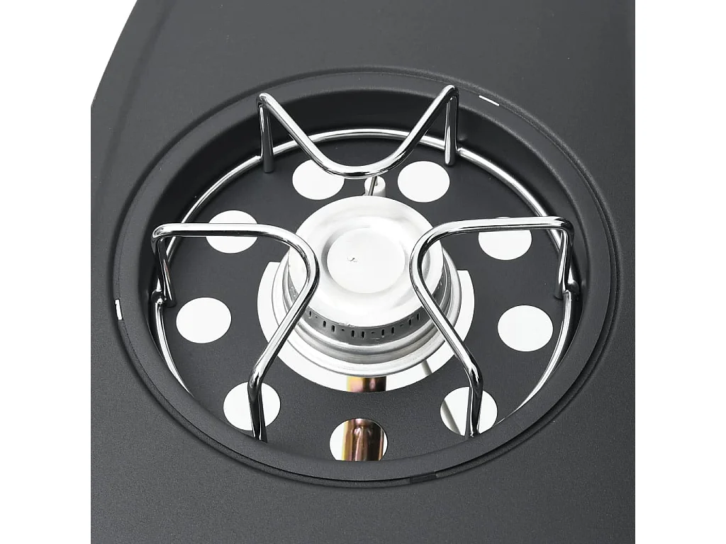 Barbecue a gas 4+1 zone cottura Acciaio Nero