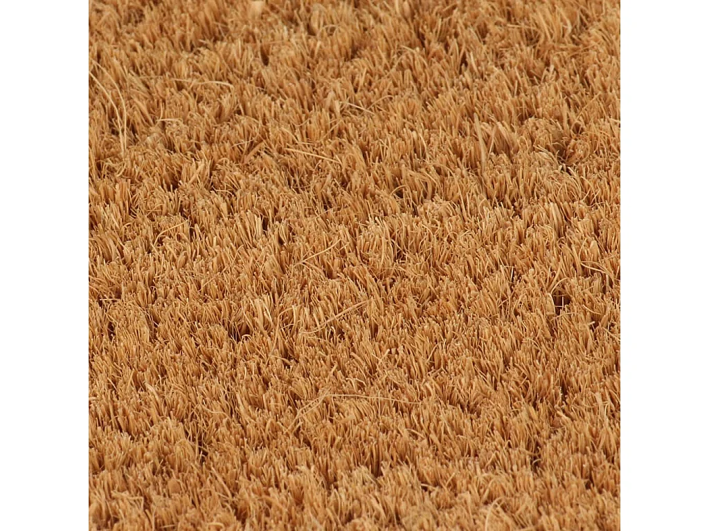 Tapis de porte naturel 65x100 cm fibre de coco touffeté