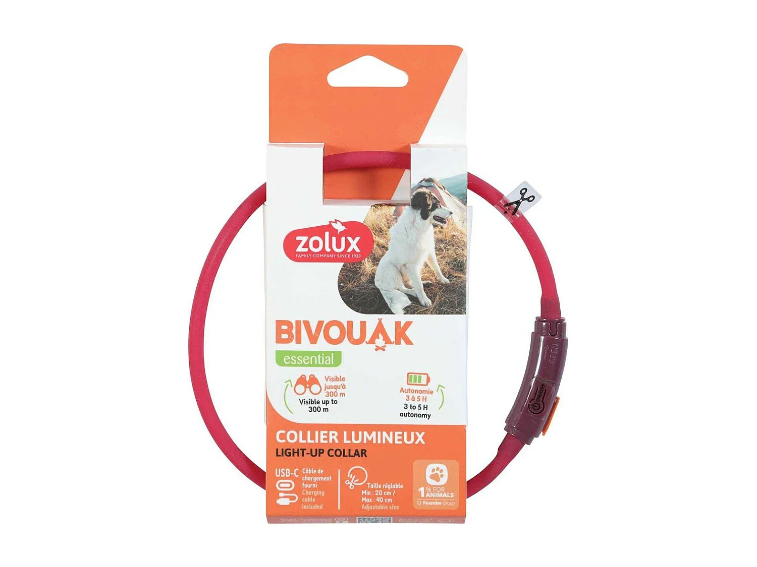 Collier lumineux pour chiots Bivouak