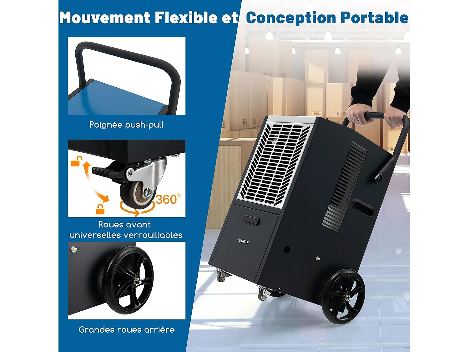 Déshumidificateur Professionnel 66L/Jour, Déshumidificateur Industriel avec Pompe et Tuyau de Vidange, jusqu'à 418 m², Minuterie 24 H (Blanc)