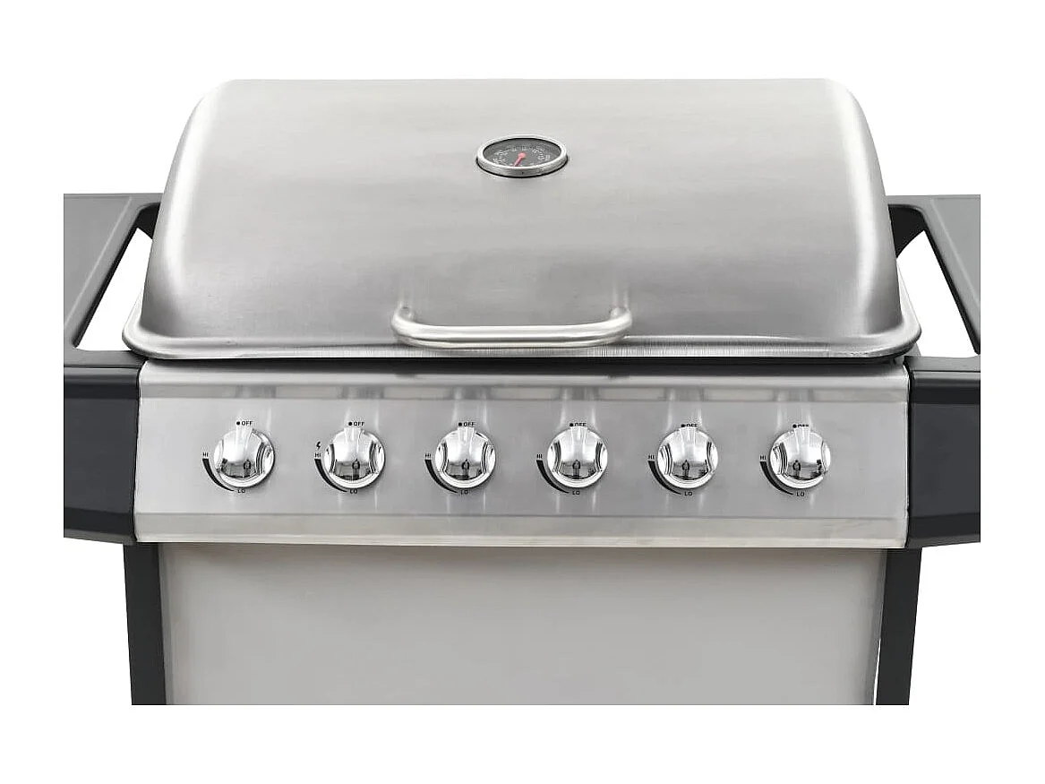 Barbecue au gaz avec 6 zones de cuisson Inox Argenté