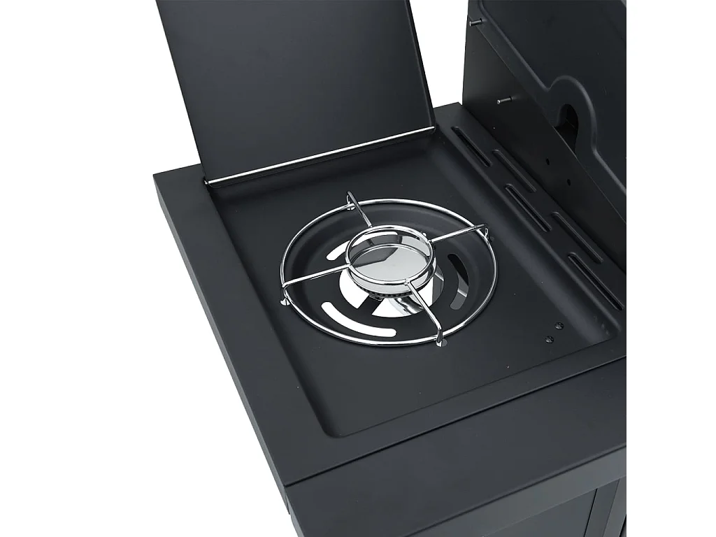 Barbecue gril à gaz avec 5 br?leurs noir acier enduit de poudre